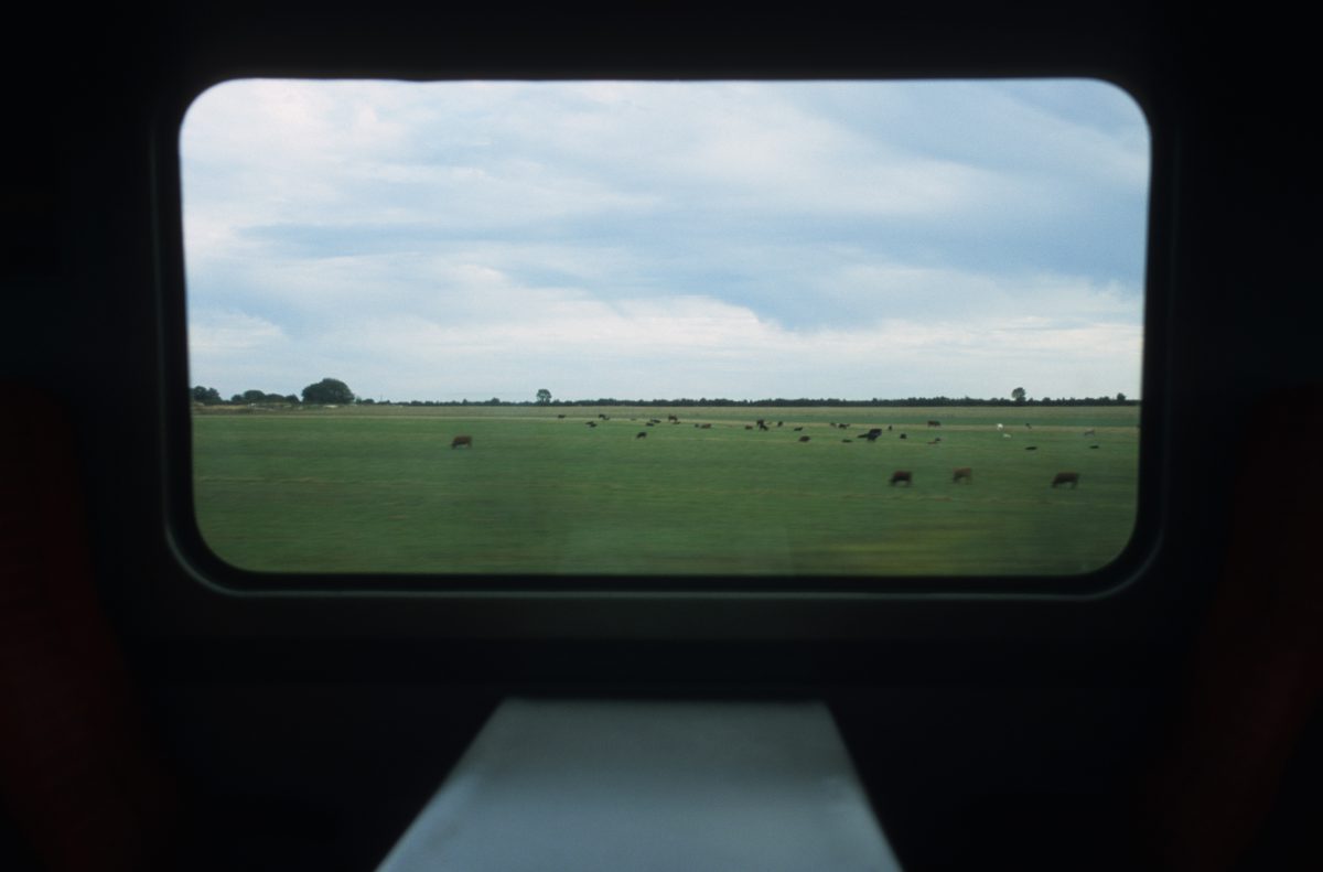window, view, train