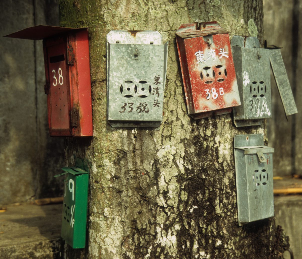 Mailboxes, tree, box