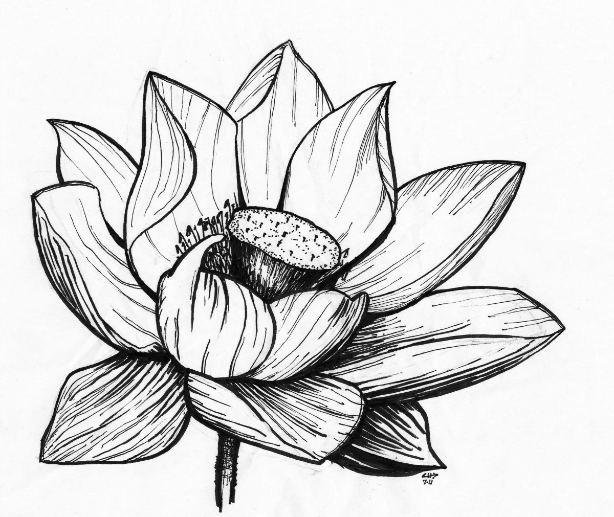 Flower - Pen on paper, 20x29cm, paper, illustration, ch3