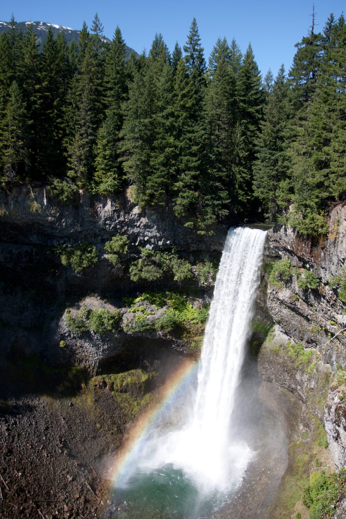 Brandywine falls - at Squamish, forest, waterfall, water
