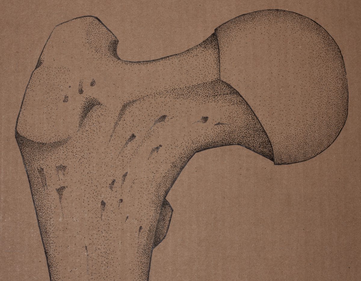 Rigth Femur - 124x47124x47cm markers on containerboard. Detail, ch3, cardboard