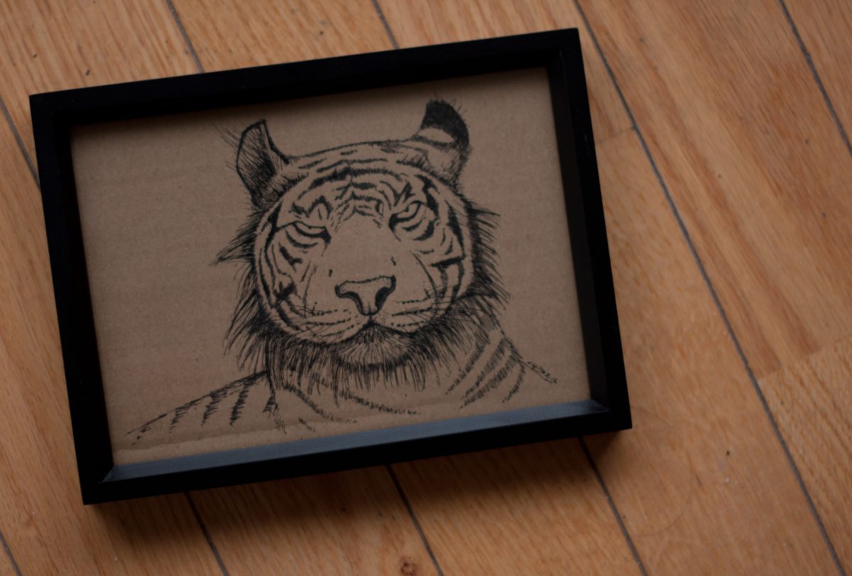 Tiger - 18x13cm, ink on cardboard, framed, ch3, cardboard, ink