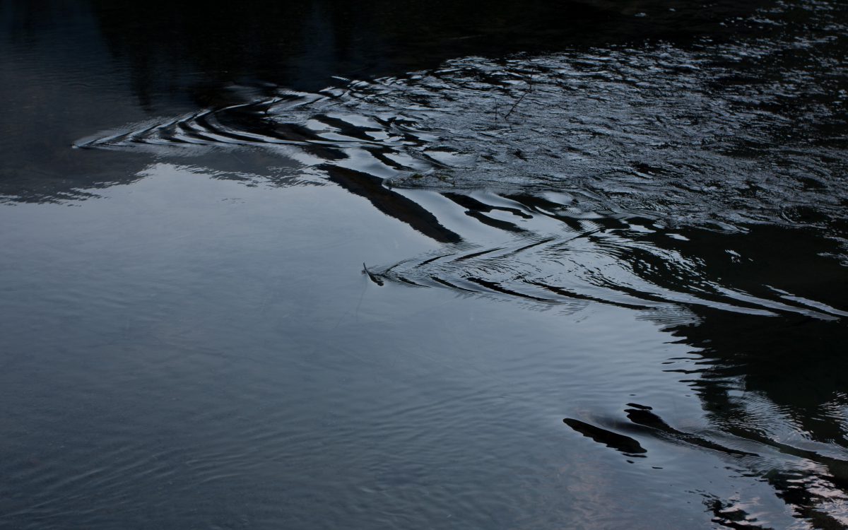 river, reflection