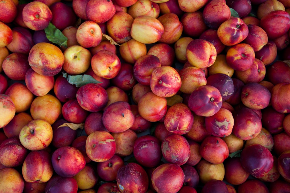 Nectarines, fruit, pattern, many, color