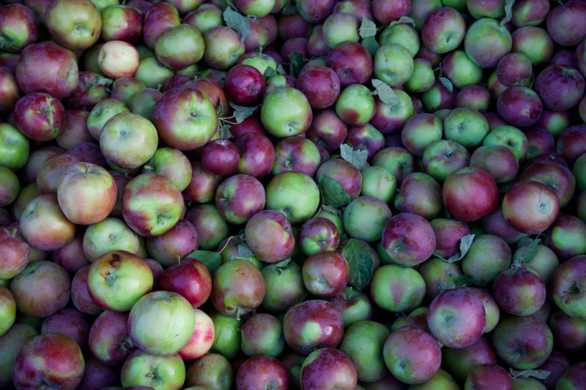 Apples, fruit, pattern, many, color