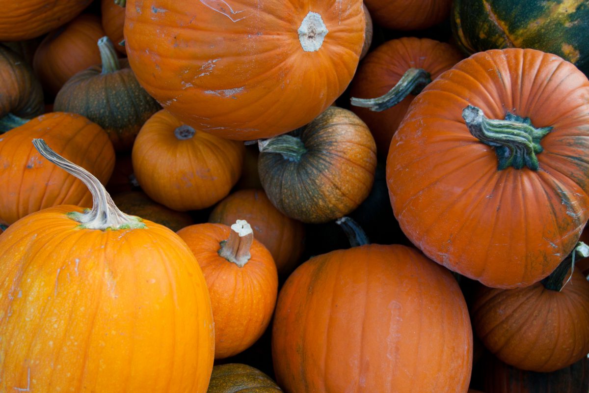 Pumkins, vegetable, pattern, many, color