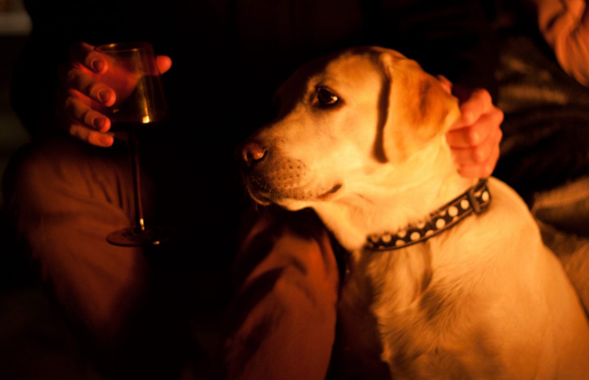 Daisy, drink, portrait