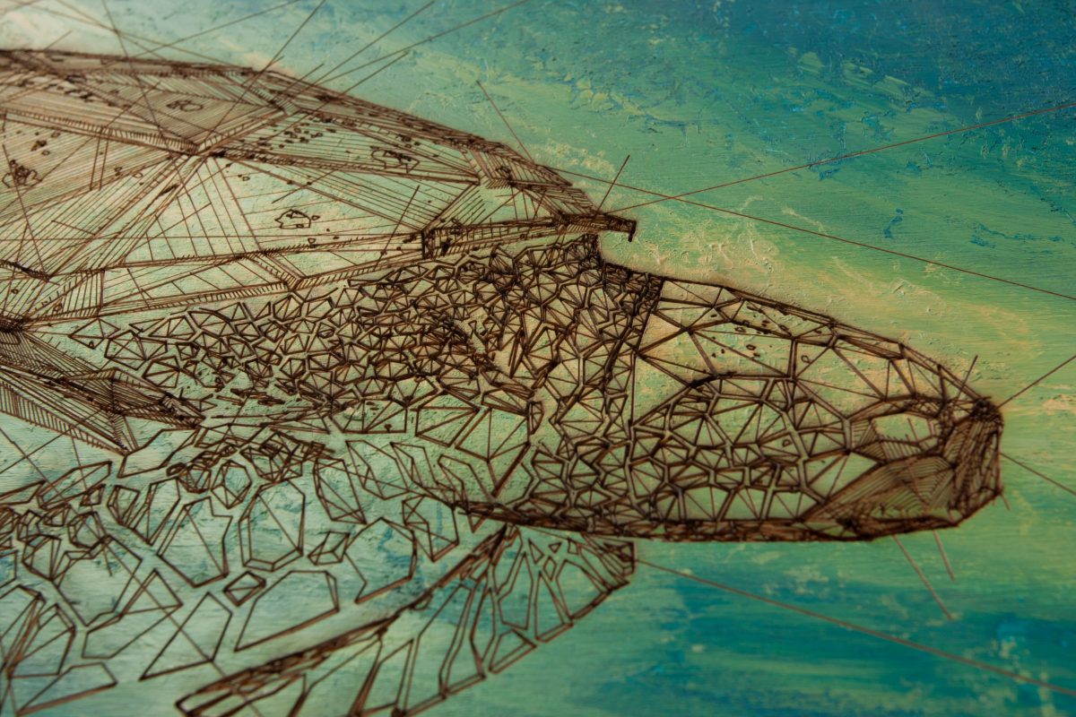Turtle - detail, ch3, laser, digital, acrylic, wood